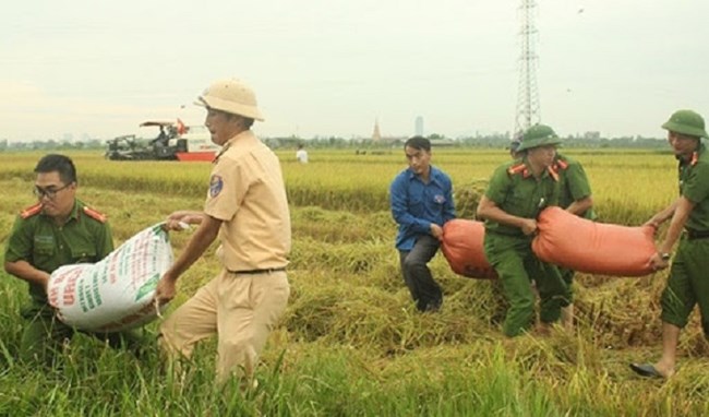 Vụ mùa năm 2020: Bám sát dự báo mưa lũ, chủ động các kịch bản tiêu úng (11/6/2020)